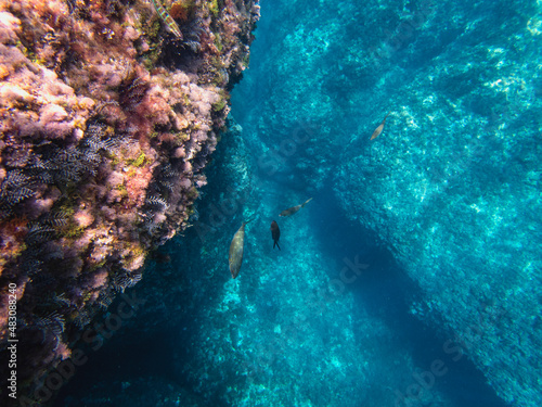 Fondale marino isola Bella Taormina 