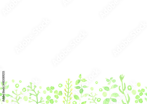 水彩で描いたナチュラルな草花の背景イラスト