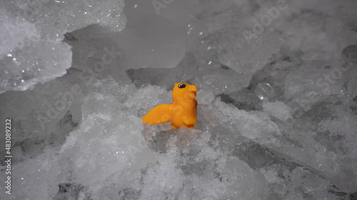 Yellow dragon toy among ice floes