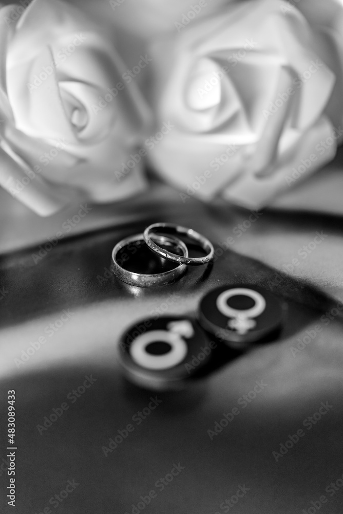 Enfoque selectivo de símbolos de amantes cósmicos, Venus y Marte, junto a alianzas de compromiso y un fondo de rosas Enfoque selectivo de símbolos de amantes cósmicos, Venus y Marte, junto a alianzas de compromiso y un fondo de rosas
