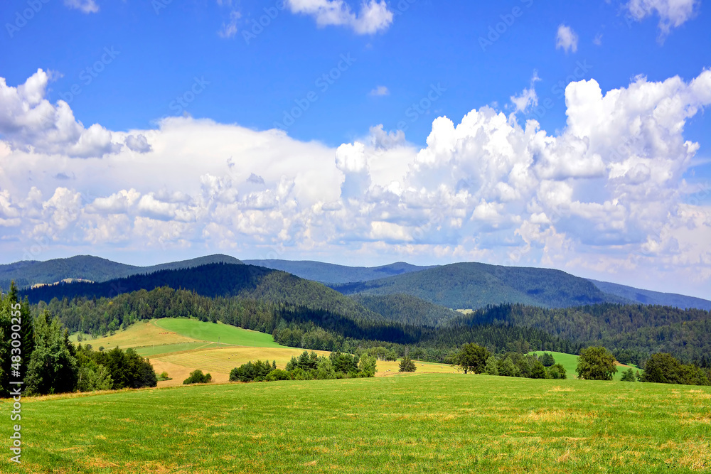 Beautiful summer landscape in the mountains with green meadows and forested hills, Low Beskids (Beskid Niski), Poland 
