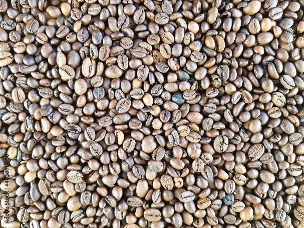 Brown coffee beans for coffee making Brown coffee beans for coffee making