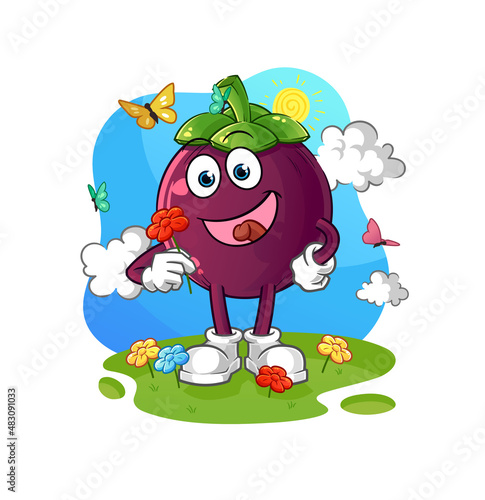 mangosteen pick flowers in spring. character vector