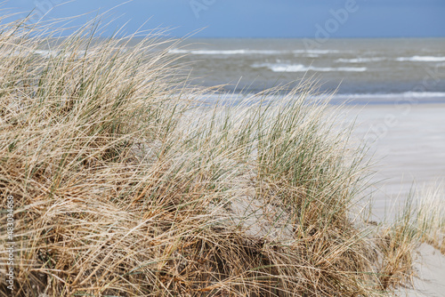 Beach on the North Sea. Small dune with grass and with the North Sea in the background. At the sea in a German travel destination. Promenade in the Netherlands. Vacation in spring 