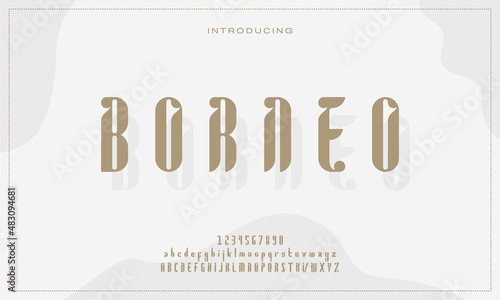 Elegant Display Alphabet and Number. Modern yet Classic Lettering Typography. Decorative Serif Fonts in Semi Vintage Style. For Wedding and Other Business Concept. Vector Illustration Template EPS10