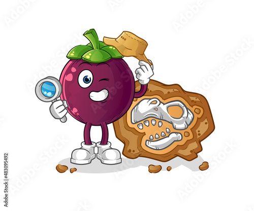 mangosteen archaeologists with fossils mascot. cartoon vector