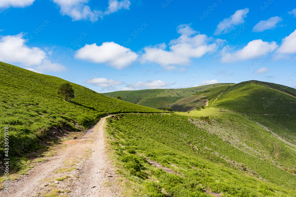 Naklejka premium カミーノ サンティアゴへの道