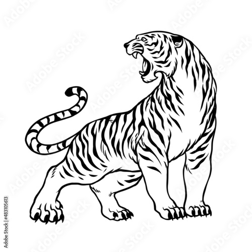Fototapeta Naklejka Na Ścianę i Meble -  Hand Drawn of Tiger In vintage Black and White