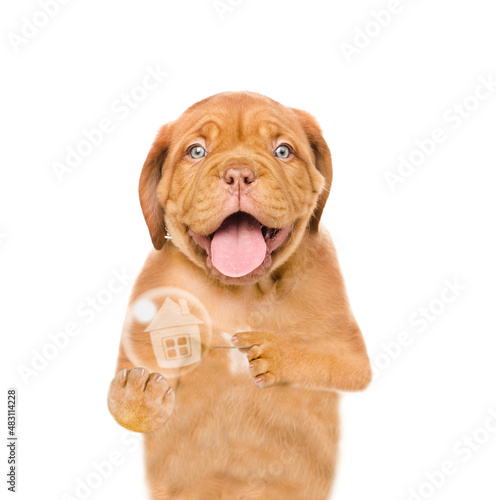 Puppy holding a needle near a soap bubble with a house sign. Financial Crisis Concept