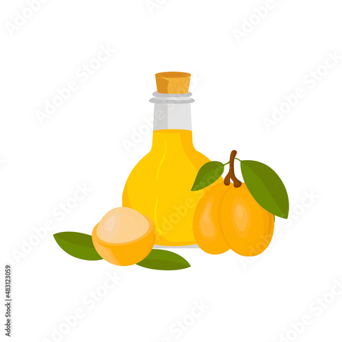 Marula. Sclerocarya. Tropical fruit, oil.