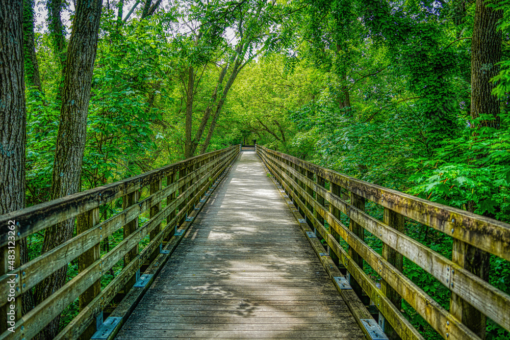 Bridge to Summer