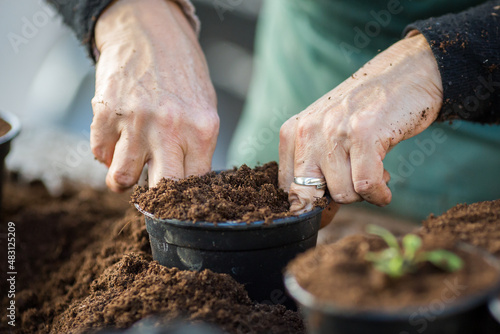 Soil preparing for plant growing in pots. Growers hands preparing peat mixture.