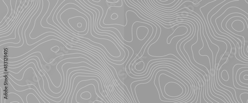 Topographic background and texture, monochrome image. 3D waves. Cartography Background, Vector illustration of topographic line contour map, black-white design, Luxury black abstract line art.