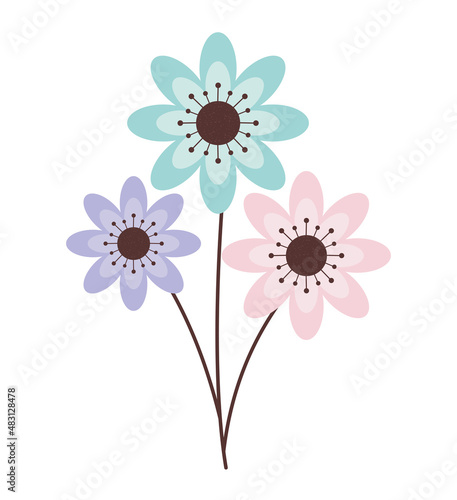 colored flowers design