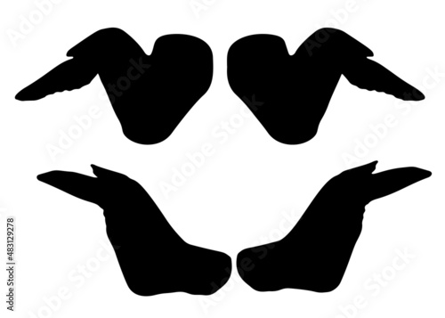 Meat chicken wings. Vector image.