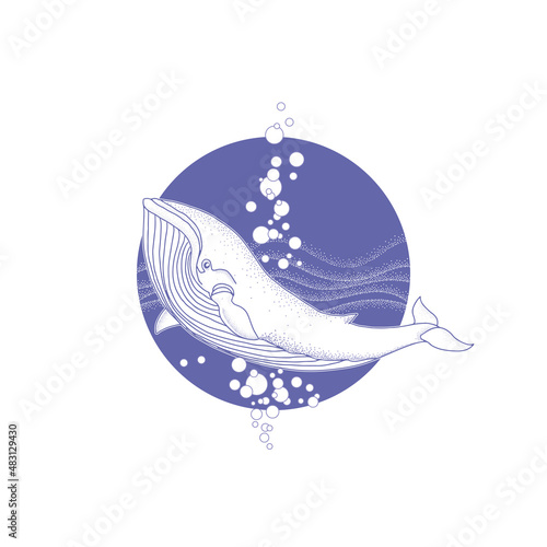 Humpback whale on the waves emblem. Vector illustration in very peri color