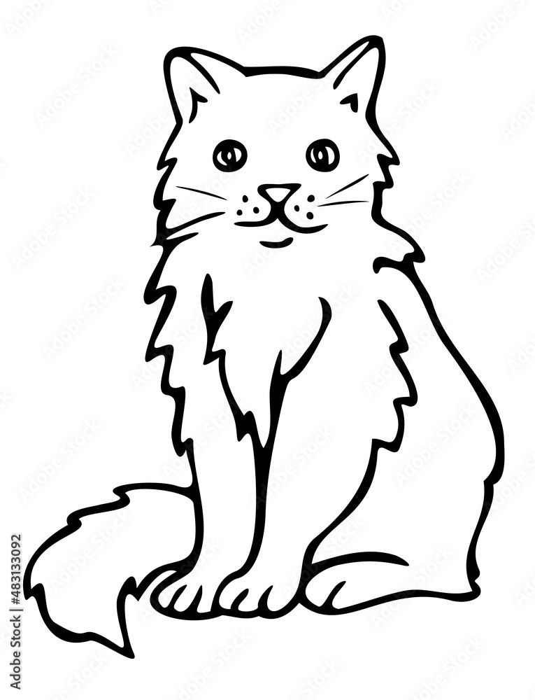 Vector illustration of black and white cat. Isolated hand drawn cat.