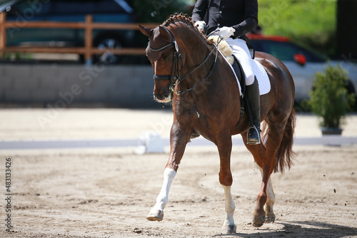 фотографія Dressage horse with rider during the test while lunging at a trot