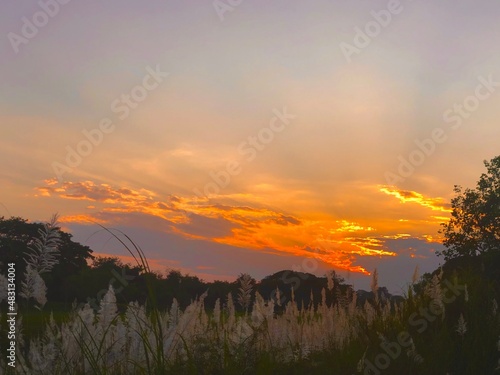 sunset over the field