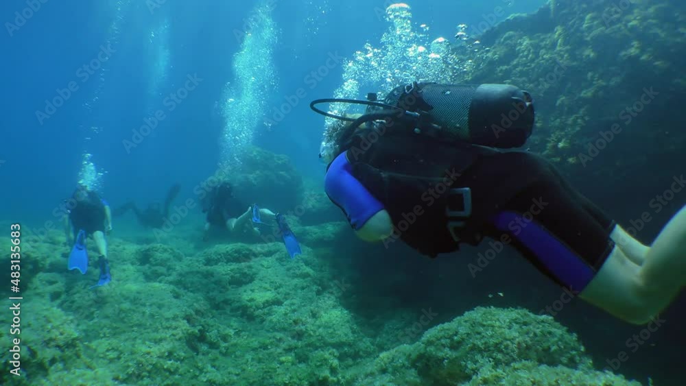 Diving training: group of divers follow the instructor over stones overgrown with algae.