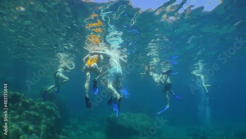 Wallpaper Mural Snorkeling: a group of tourists in underwater masks on the surface of the water, bottom view. Torontodigital.ca