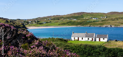 Tableau sur toile Clashnessie, Highlands, Scotland - Traditional white cottage house sits on the short near Clashnessie on the NC500 route - Beautiful purple heather during summer