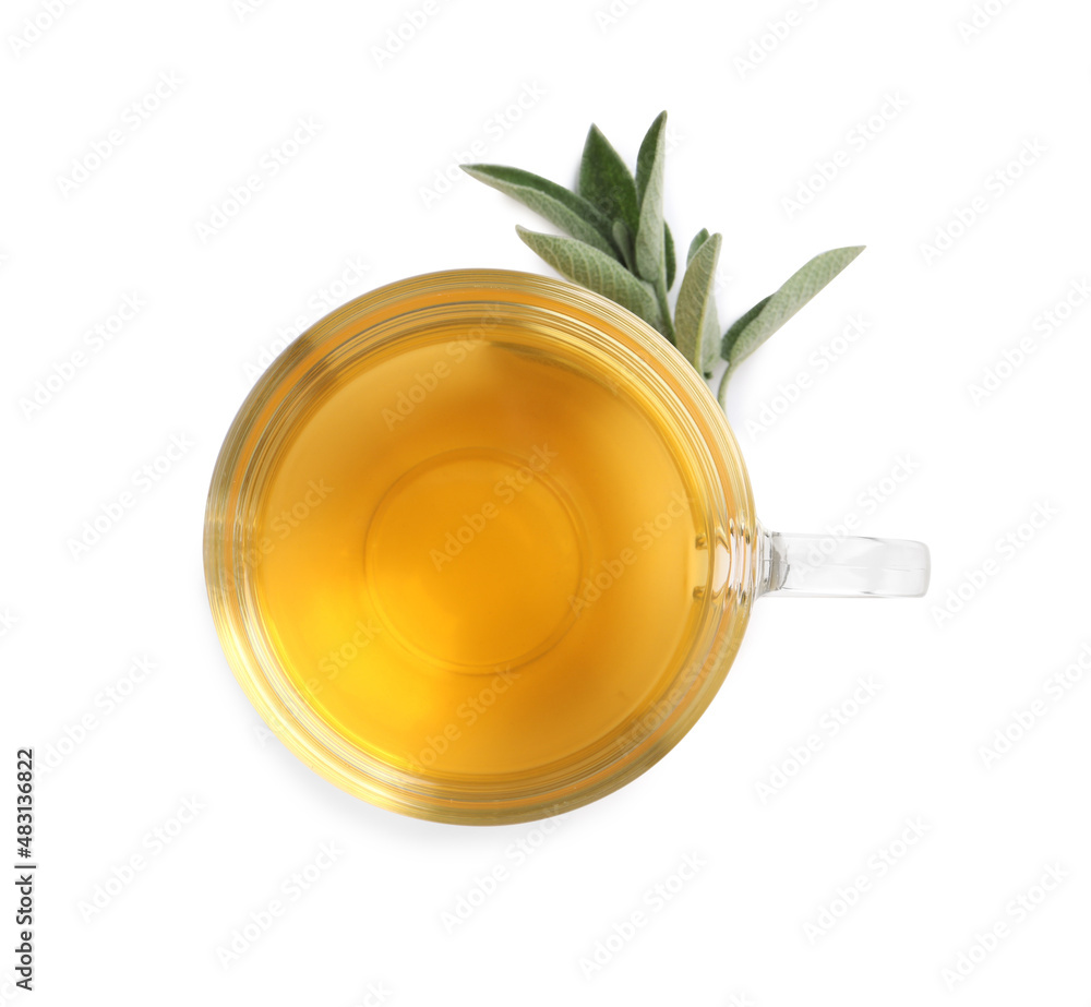 Cup of aromatic sage tea and fresh leaves on white background, top view Cup of aromatic sage tea and fresh leaves on white background, top view