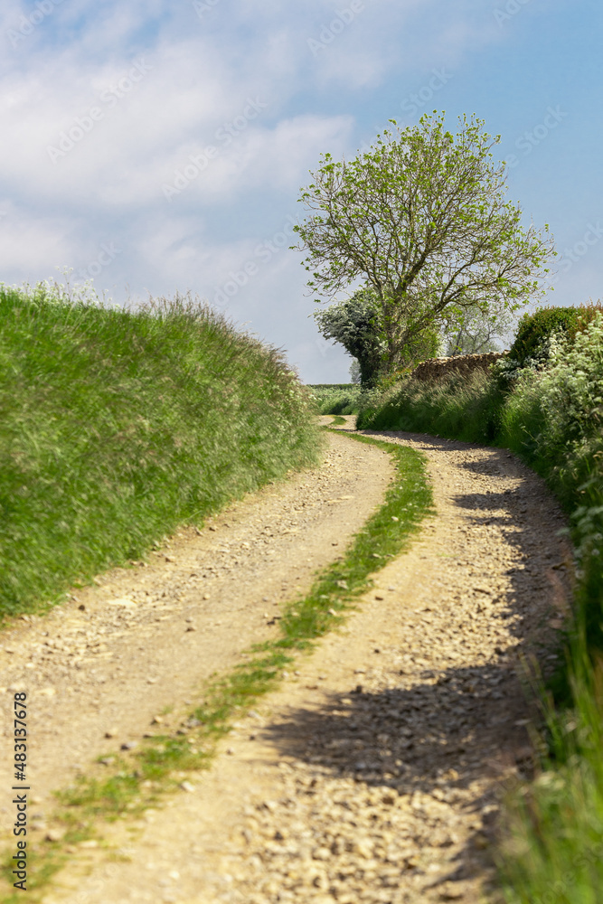 road in the countryside Cotswolds