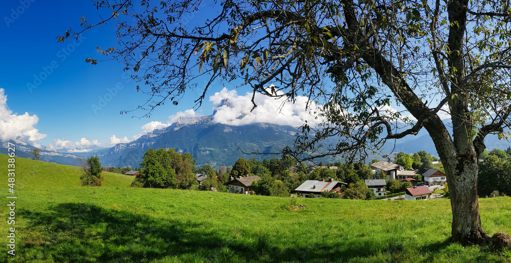 Panorama of alpine pastures and an old tree above the town of Combloux, Haute-Savoie, France. In the background the cloud covered peak of the Tête de l'Âne (Donkey’s Head).
Panorama of alpine pastures and an old tree above the town of Combloux, Haute-Savoie, France. In the background the cloud covered peak of the Tête de l'Âne (Donkey’s Head).