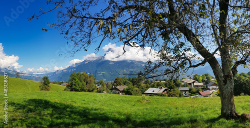 Panorama of alpine pastures and an old tree above the town of Combloux  Haute-Savoie  France. In the background the cloud covered peak of the T  te de l   ne  Donkey   s Head . 