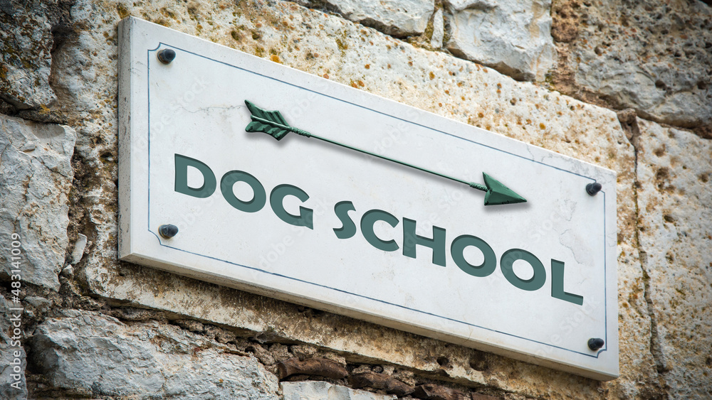 Fototapeta premium Street Sign to Dog School