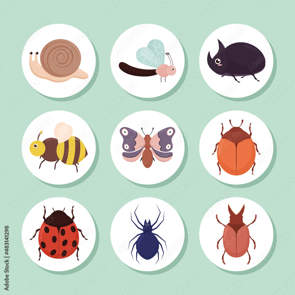 nine cute bugs nine cute bugs
