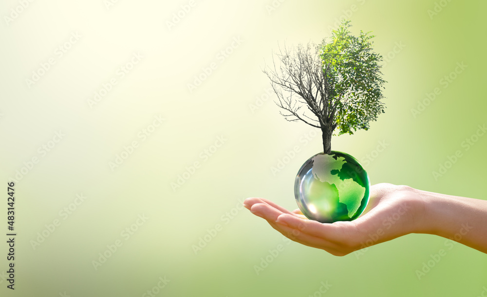 Earth Day or World Environment Day, Combat Desertification and Drought