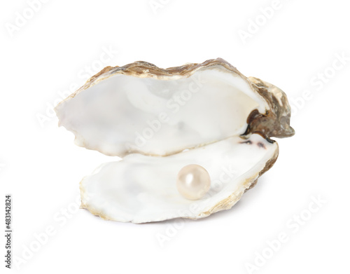 Open oyster shell with pearl on white background