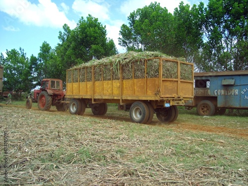 Transport von Zuckerrohr auf Kuba photo