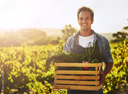 Growing your own is worth it. Shot of a young man holding a crate full of freshly picked produce on a farm.
