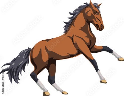 Horse  image of a galloping horse  portrait of a horse for a logo in brown tones