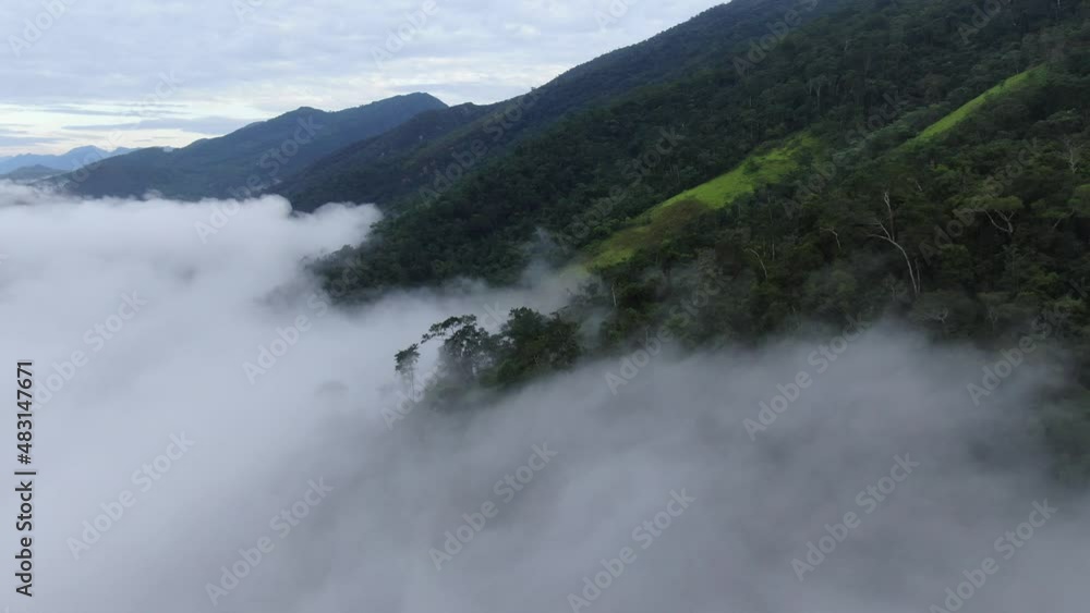drone flying in pristine rainforest in peruvian amazon drone flying in pristine rainforest in peruvian amazon