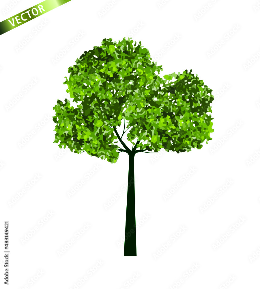 Obraz premium Green Tree Isolated on White Background. Vector outline Illustration. 