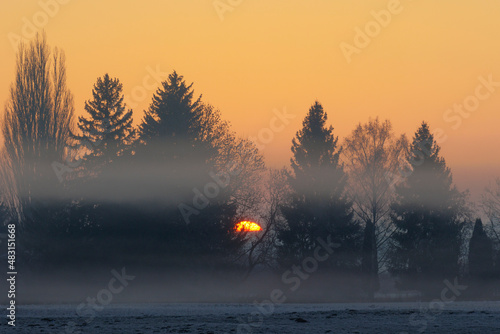 Morning fog over field at sunrise at edge of forest