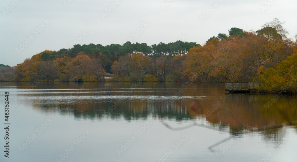 Nature reflected in water. Etang Noir (Seignosse), Nouvelle Aquitaine - France. Nature reflected in water. Etang Noir (Seignosse), Nouvelle Aquitaine - France.