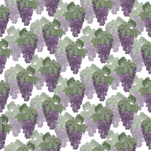 Seamless pattern of watercolor illustrations of bunches of purple grapes on a white background