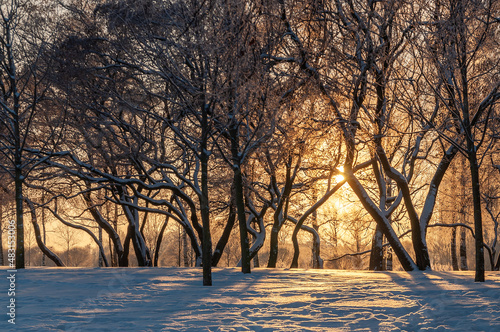 beautiful winter landscape with setting sun and silhouettes of trees