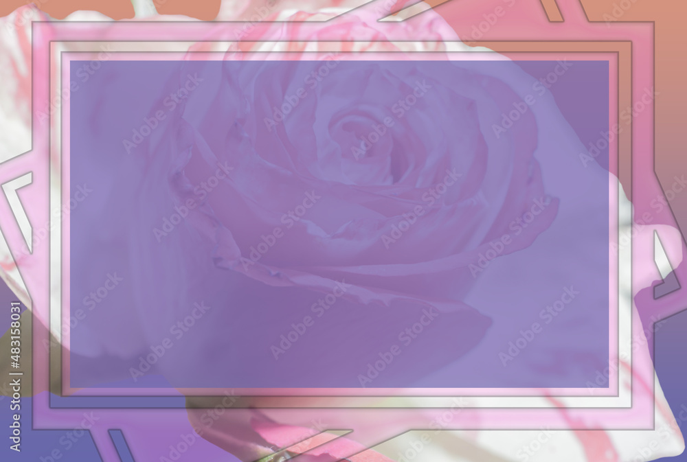 Floral design of the invitation card template congratulations on women's Day , frame, place for text, rose