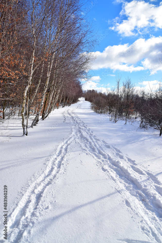 White road snow tracks landscape 