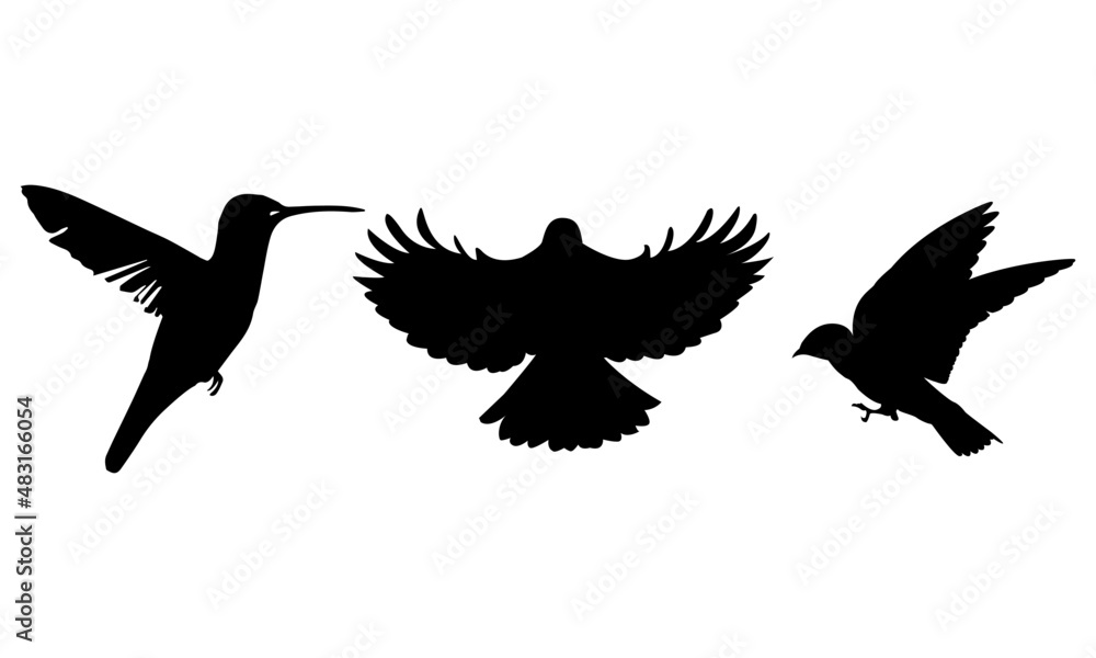 Obraz premium Fly Bird Vector Three Bird black vector 3 Bird Vector Shadow