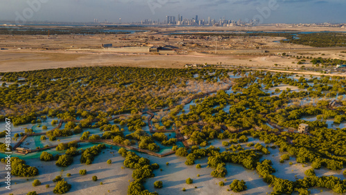 Jubail Mangrove Park in Abu Dhabi