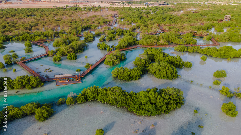 Foto De Jubail Mangrove Park In Abu Dhabi Do Stock Adobe Stock Foto De Jubail Mangrove Park In Abu Dhabi Do Stock Adobe Stock