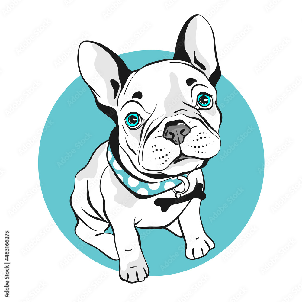 Funny french bulldog character. Perfect for t-shirt, poster, card, print design, nursery decoration. Vector Illustration EPS 10