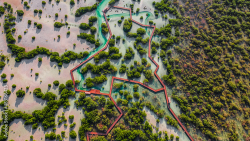 Jubail Mangrove Park in Abu Dhabi